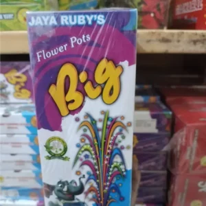 FLOWER POT BIG
